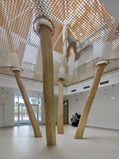 Play net supported by tree trunks