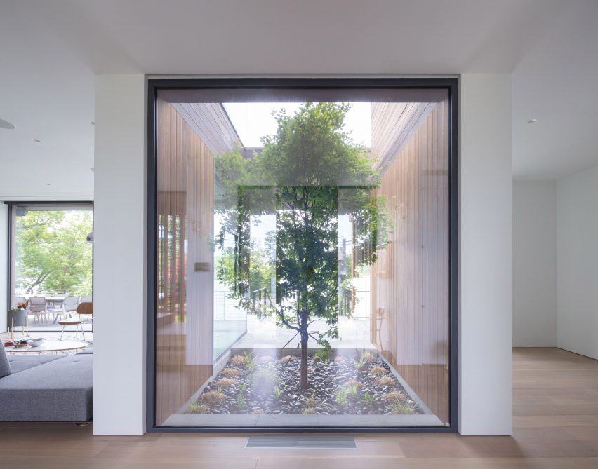 House interior with white walls and a large window looking out to a tree in a courtyard