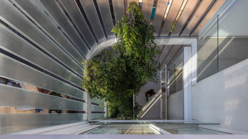 Tree in courtyard of Y/K Building by Paritzki & Liani Architects