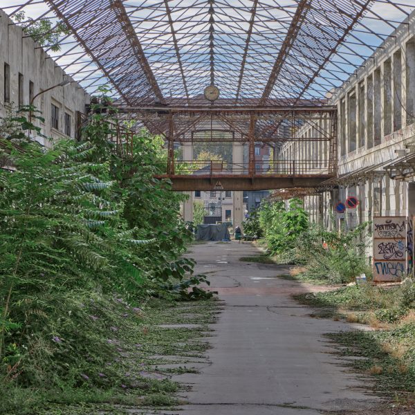 Photo of a courtyard with foliage