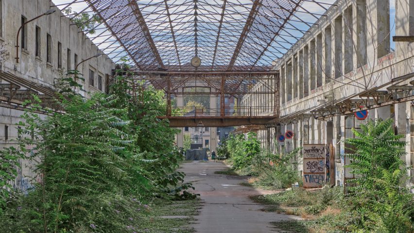 Photo of a courtyard with foliage