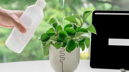 Moisture-sensing ceramic pot