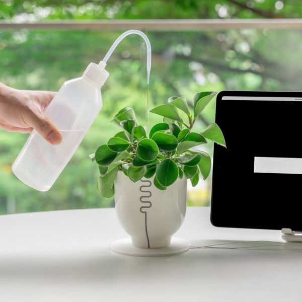Moisture-sensing ceramic pot