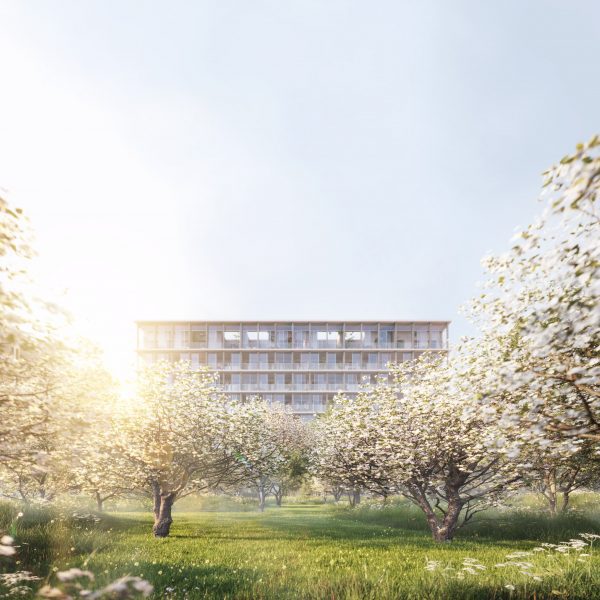 Boomgaard by David Chipperfield Architects