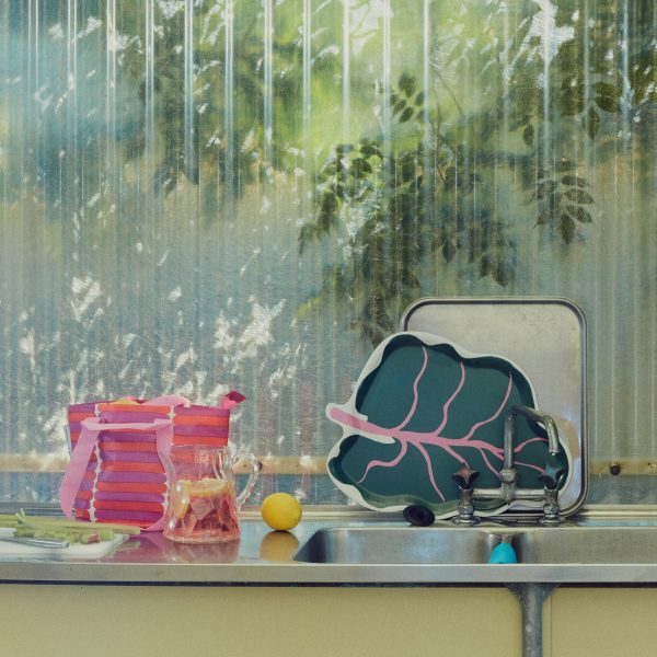 Kitchen counter with a rhubarb tray displayed on top