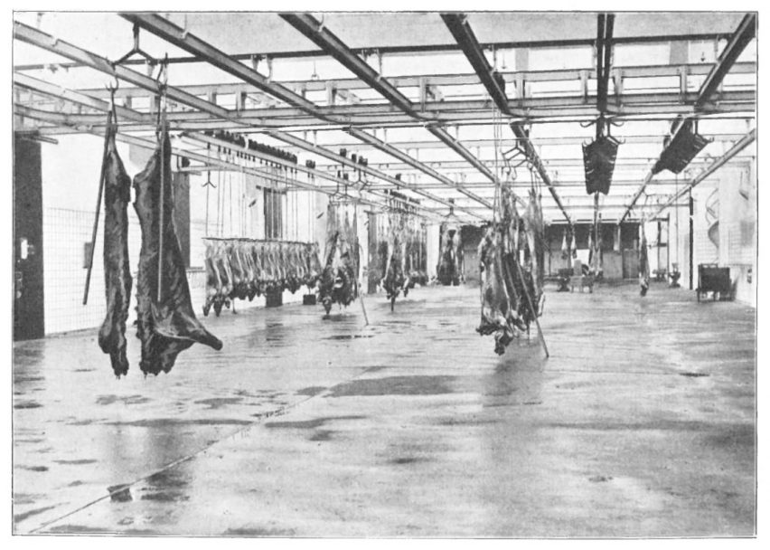 Image of the slaughterhouse in the 1930s