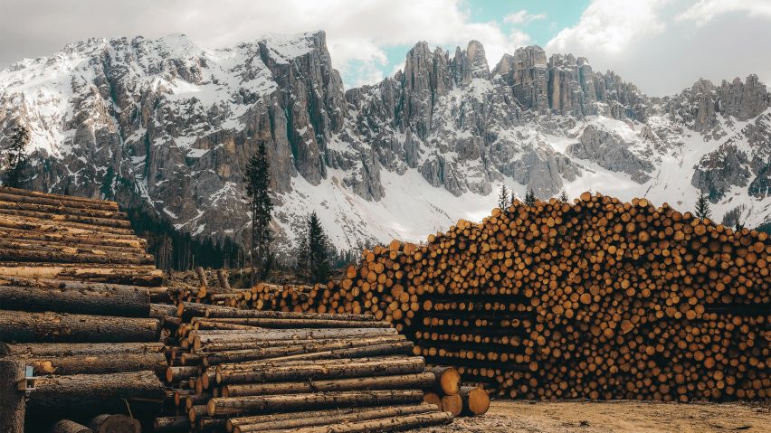 Piles of logs