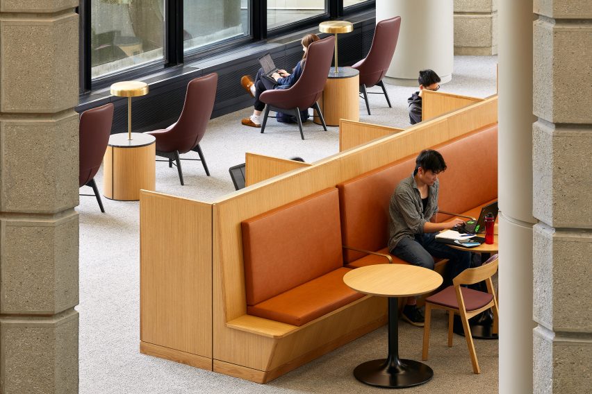 Study areas
