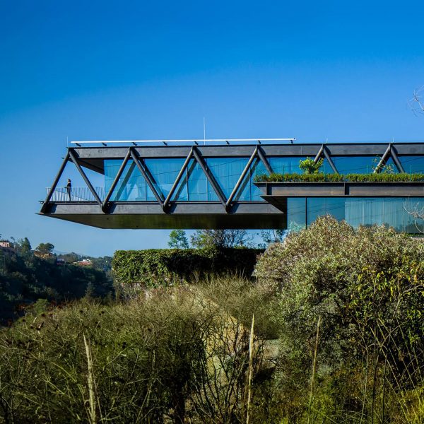 One-storey house with a ddark metal structure cantilevering over bushes