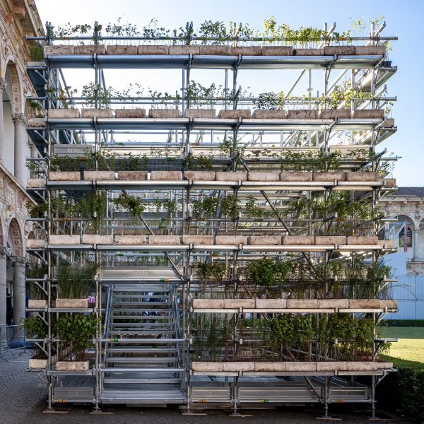Photo of a plant installation