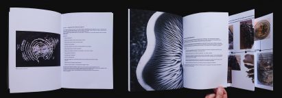 Composite image of book spread showing images and text about mycelium