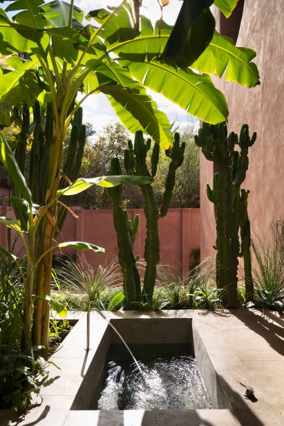 Photo of a garden