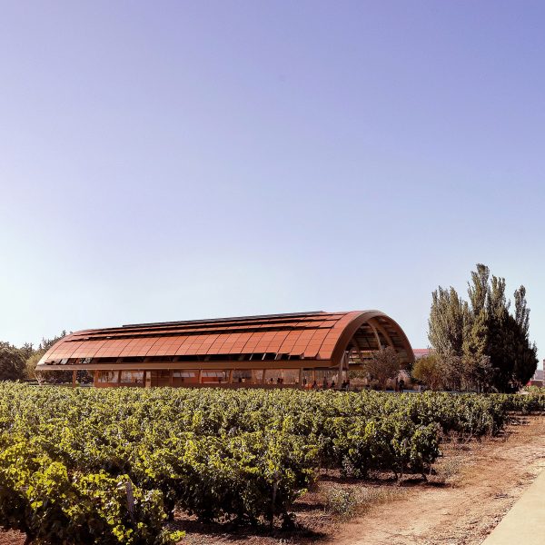 Bodegas Faustino winery extension by Foster + Partners