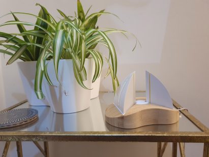 Small object on table beside plant