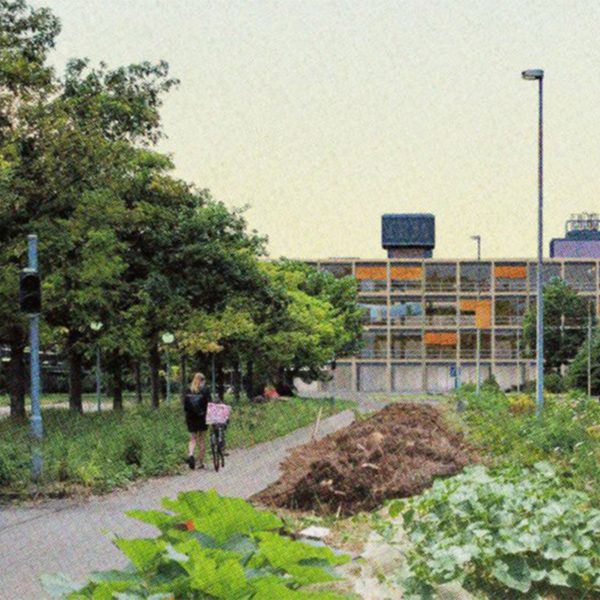 Render of a grass and tree-filled garden with a path leading to a multi-storey building