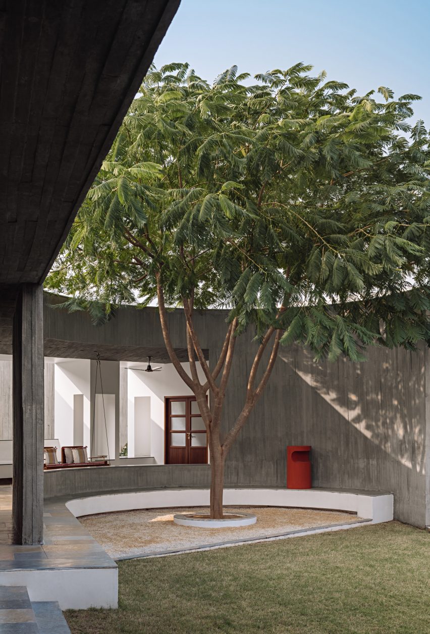 Outdoor courtyard with curved walls and a tree