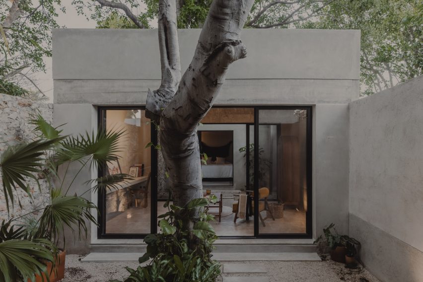 Outdoor courtyard with a tree and a one-storey concrete home with sliding glass doors