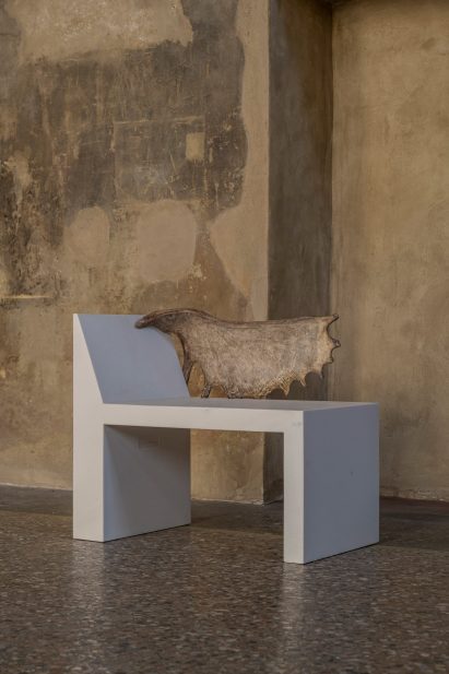 White chair with moose antler