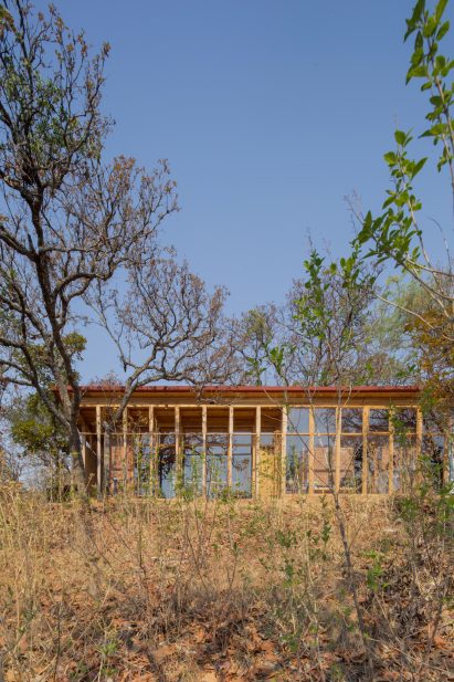 Wooden one-storey shed-like home on a sandy hill in Mexico with trees