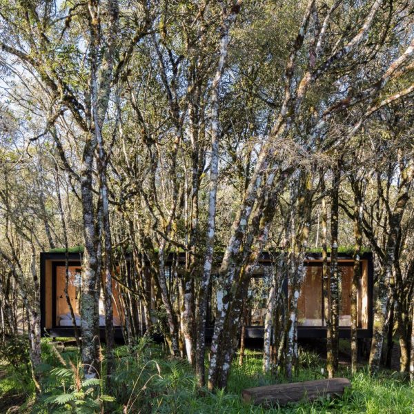 MAPA hides prefab Minimod Curucaca in Brazilian forest