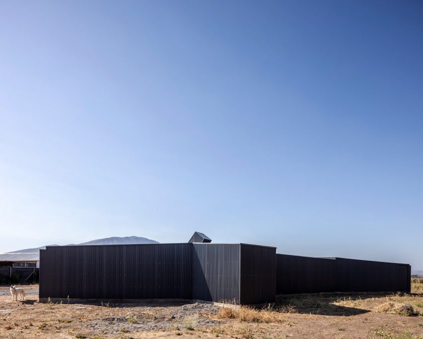 Paire House Rodolfo Canas