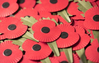 Remembrance day paper poppies by Matter