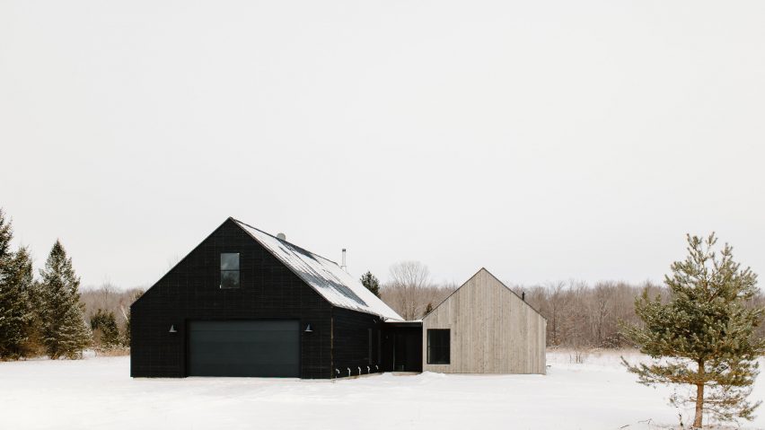 charred wood