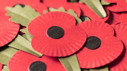 Paper remembrance Royal British Legion poppies by Matter