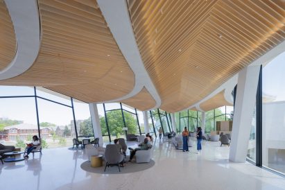 Wood ceiling in Cultural Living Room