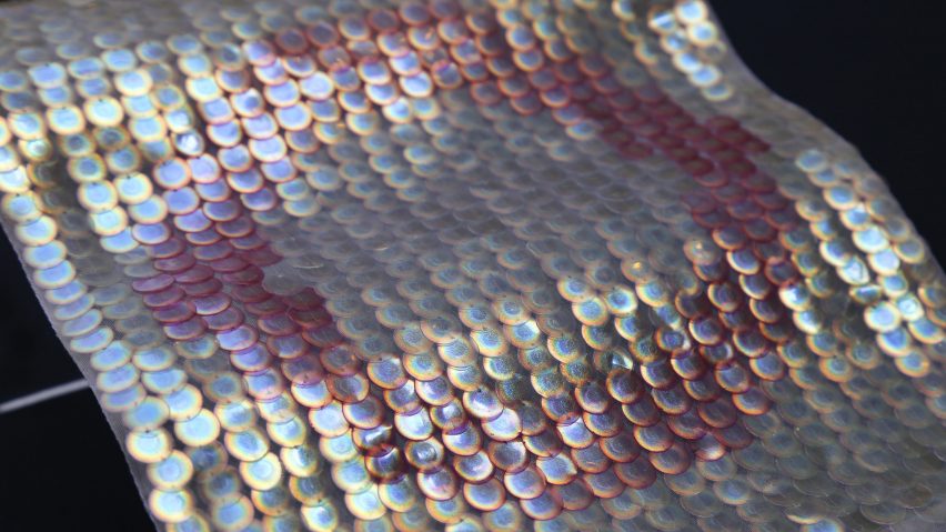 Photo of bioplastic sequins