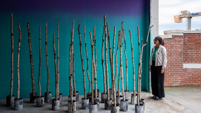 Photo of the A Fragile Correspondence – Scotland + Venice exhibition