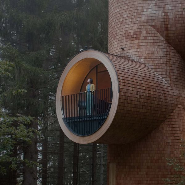 Photo of a tree house-style building