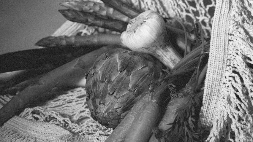 Close up black and white photo of food