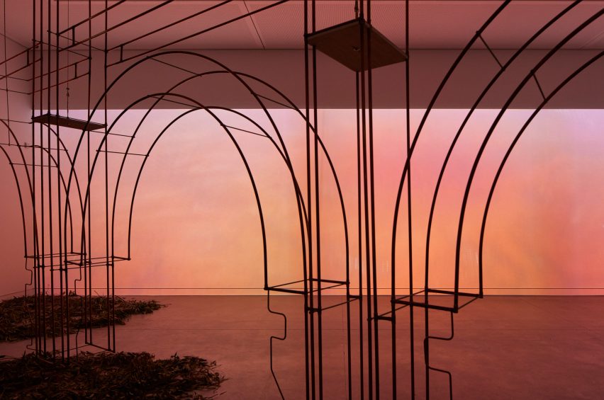 Australia pavilion at the Venice Architecture Biennale