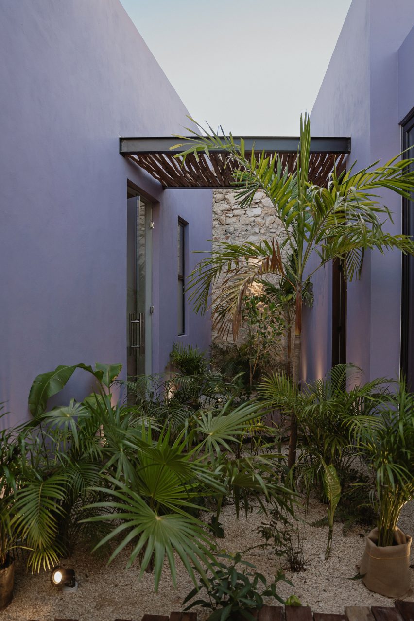 Vegetation and purple buildings at Casa Pulpo by Workshop Architects