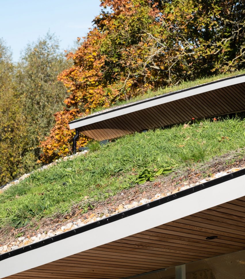 Exterior of Creek Cabin by MAP Architecture and Jon Broome Architects