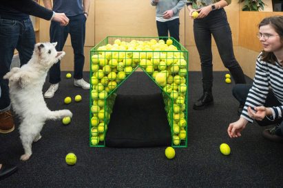 People playing with Westie by green kennel