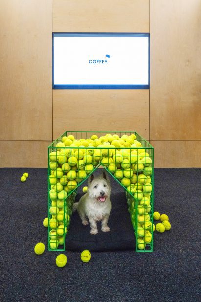 Fetch dog kennel inside Coffey Architects' office