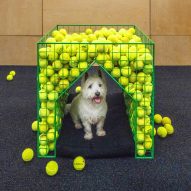 Fetch dog kennel by Coffey Architects