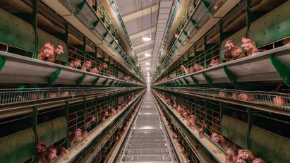 Pedro Pegenaute photographs Spanish “foodscapes” for Venice Architecture Biennale