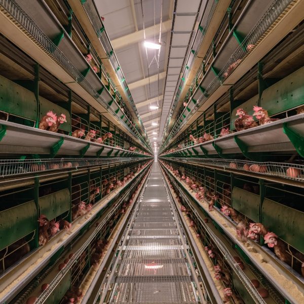 Pedro Pegenaute photographs Spanish “foodscapes” for Venice Architecture Biennale
