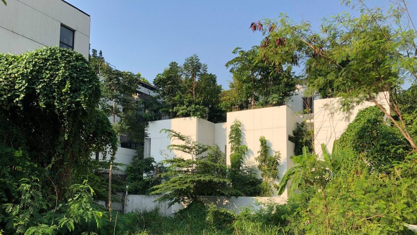 Forest House by Shma Design