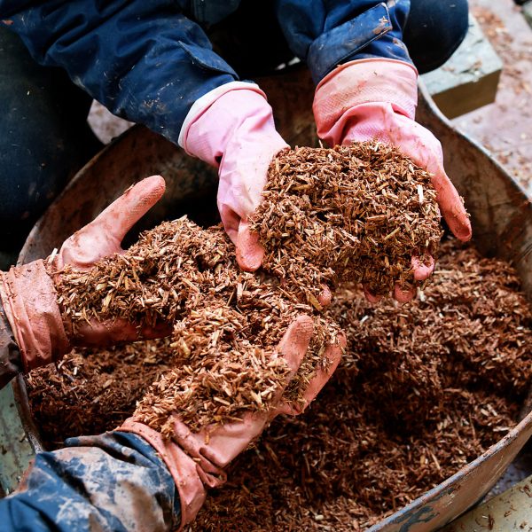 Students working with hempcrete material at the Critical Concrete workshop
