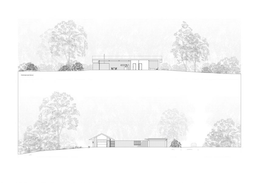 Section of Chestnut Plantation