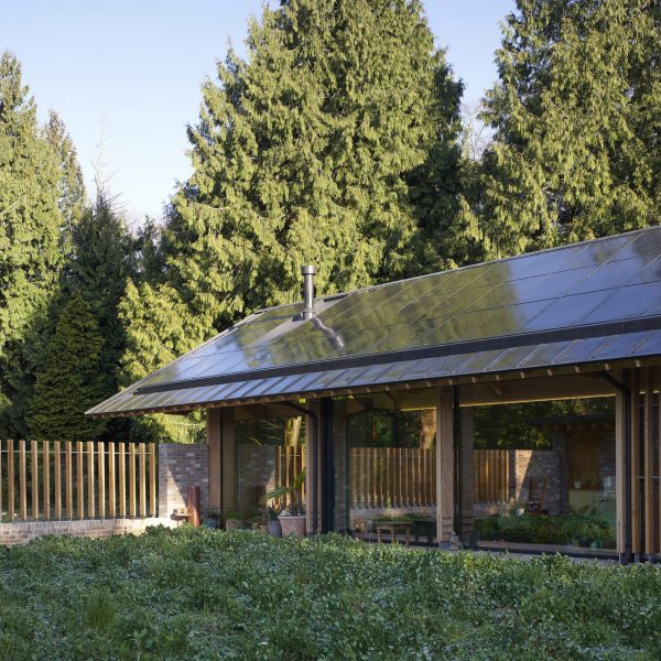 New Forest wildflower garden home