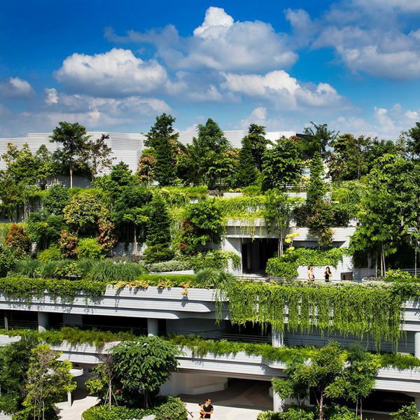 Kampung Admiralty WOHA Singapore