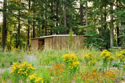 Event pavilion at Leah Botanical Garden by Olson Kundig and Land Morphology