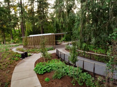 Slatted wooden events pavilion