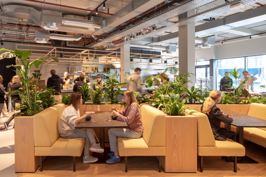 Collaborative work space with yellow booth seating and planting