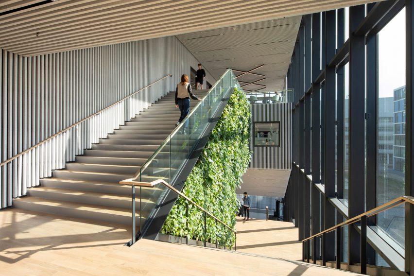 Large wooden staircase with glazed external walls and green internal wall